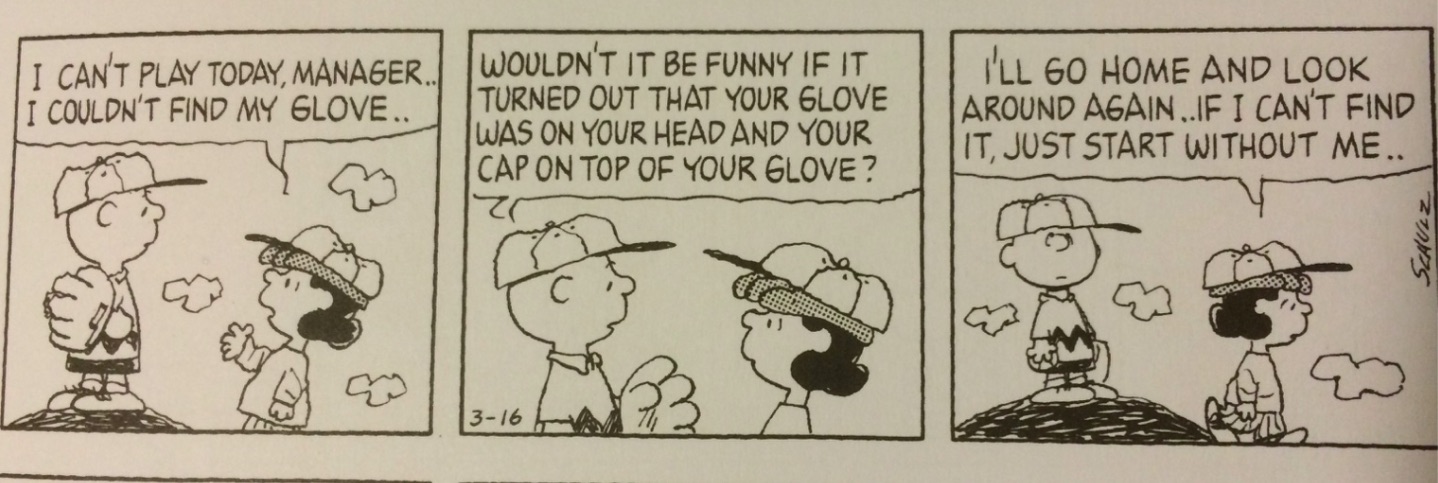 Peanuts Charlie Brown Lucy