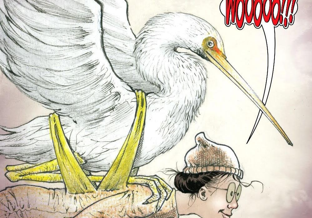 SMP: Eleanor and the Egret 1