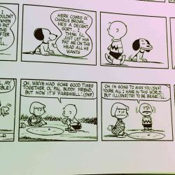 Peanuts-by-Charles-Schulz-Marble