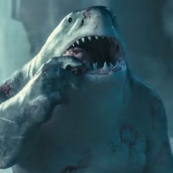 King Shark